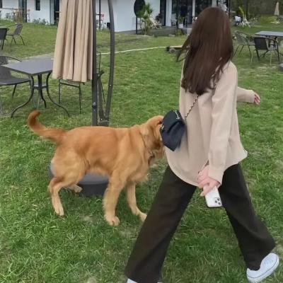 克里姆林宫的魔术师